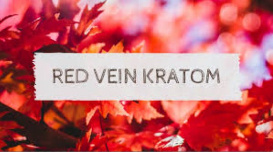 Red Vein Indo Kratom