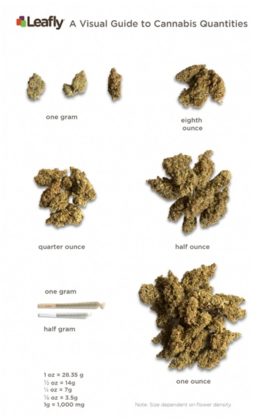cannabis ounces quantities leafly eighth thc tg5 2016risksummit
