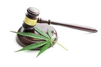 Cannabis Legality