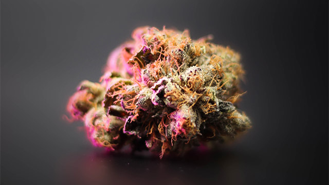 Terpenes Reveal About Marijuana Strain