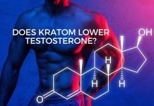 Does Kratom lower Testosterone? Does Kratom lower Testosterone?