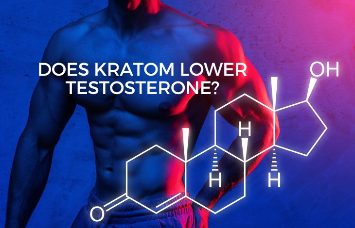 Does Kratom lower Testosterone?